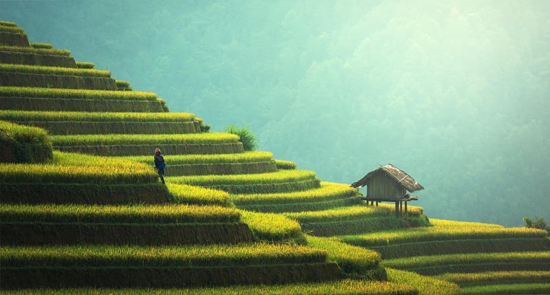 Sustainable Fitness